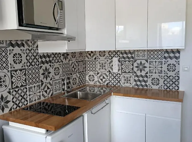 Superbe Avec Piscine, Ascenseur Et Acces Direct Sur Le Port Agde